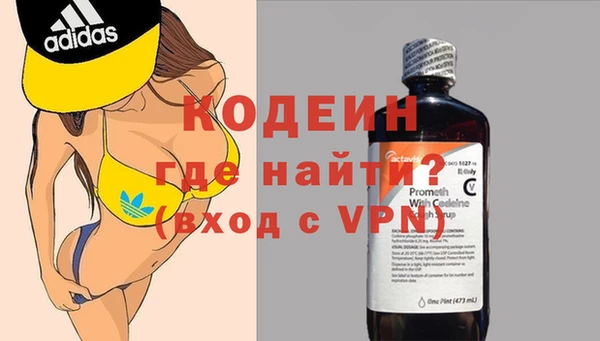 твердый Арсеньев