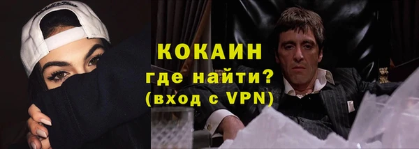 твердый Арсеньев